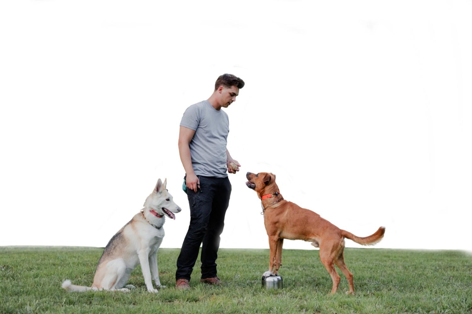 dog trainer with dog