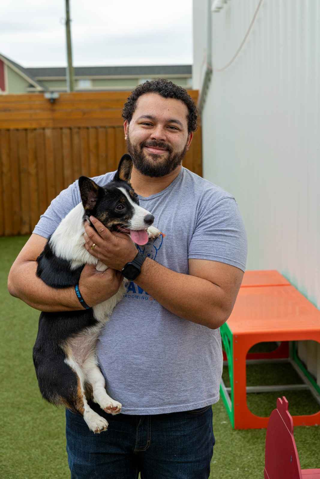 dog day care dogs