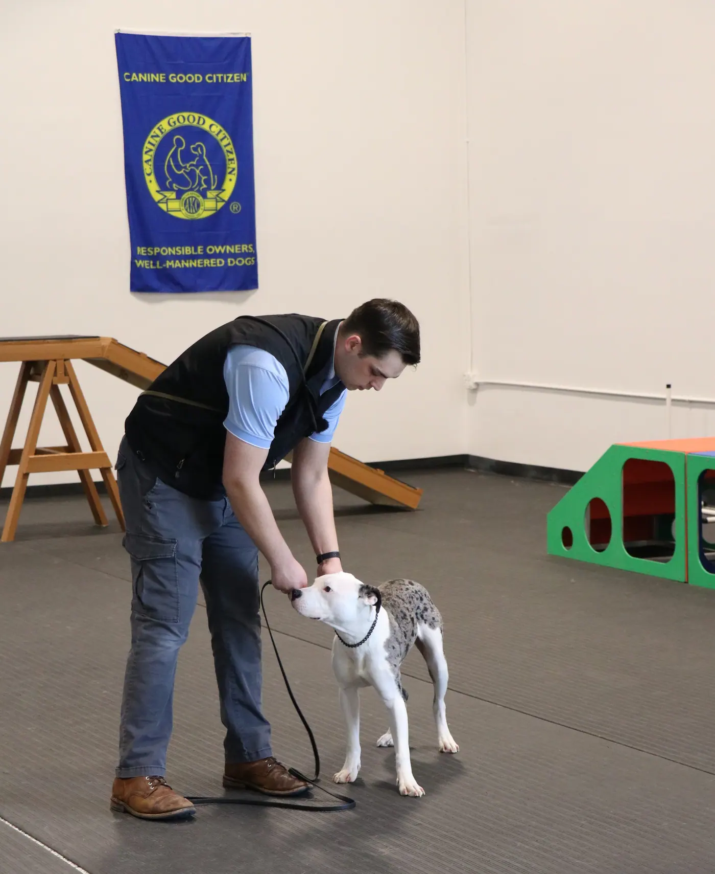 dog day care