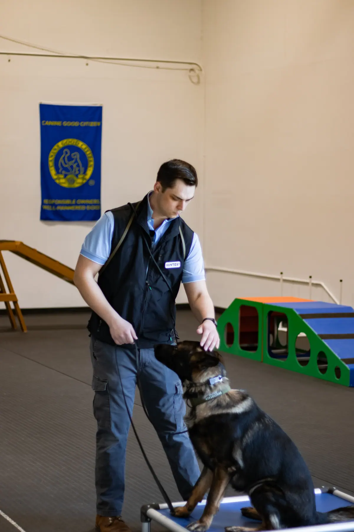 Dog training consultation at Resort 4 Paws