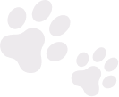paw icon