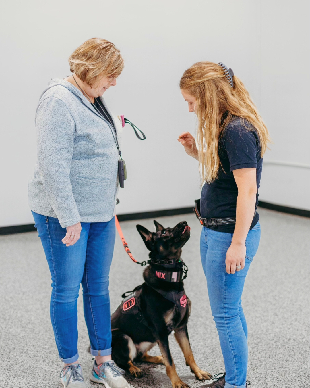 dog with trainers