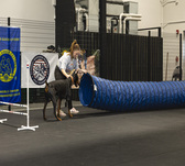dog trainer with dog